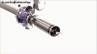 1555920462697208.gif WeChat 圖片_20190422160113.gif