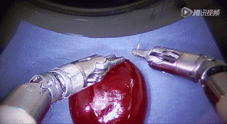 1555920471328286.gif WeChat 圖片_20190422160118.gif